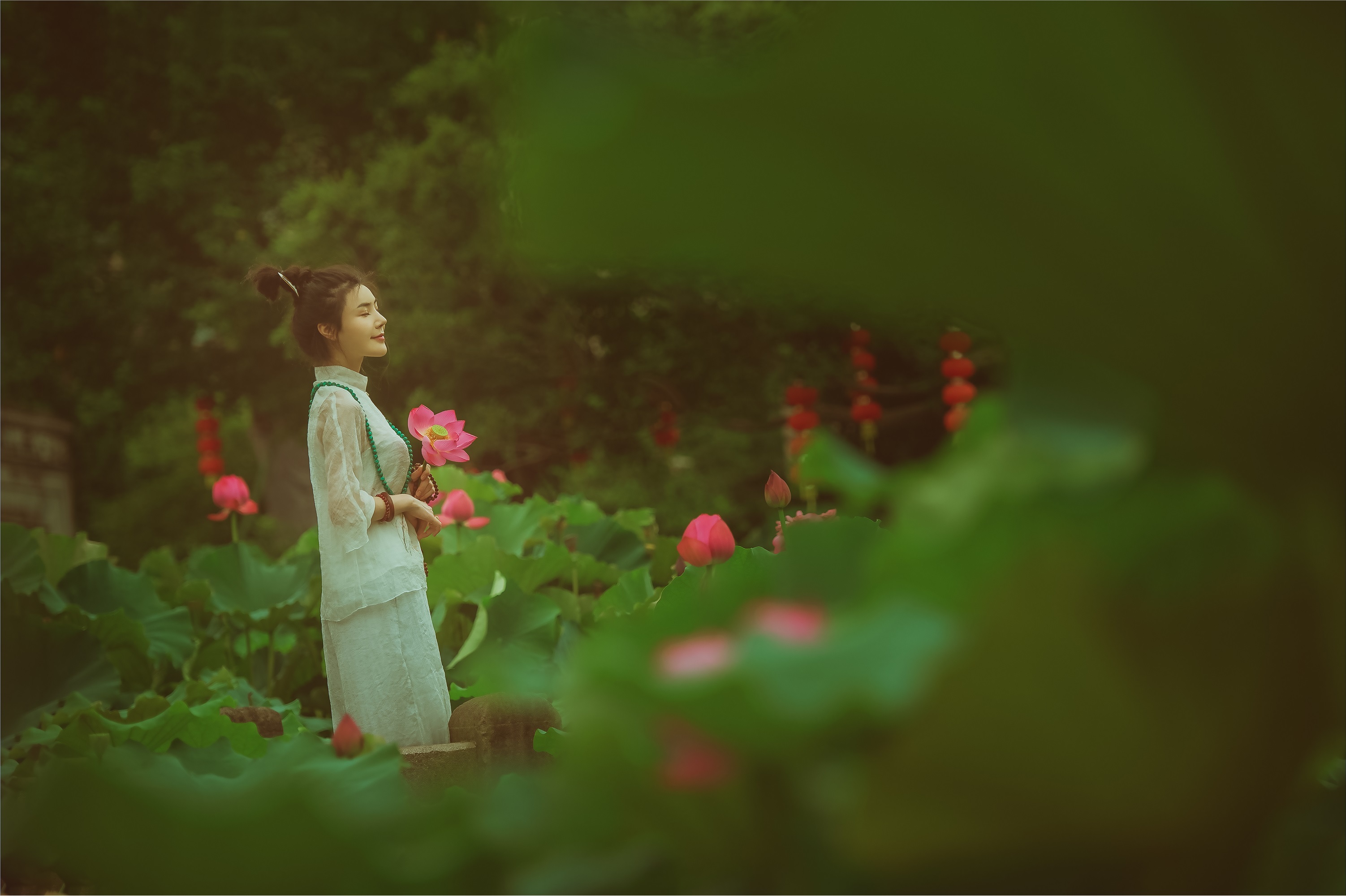 YITUYU艺图语 2021.08.14 赏荷记 颗颗树